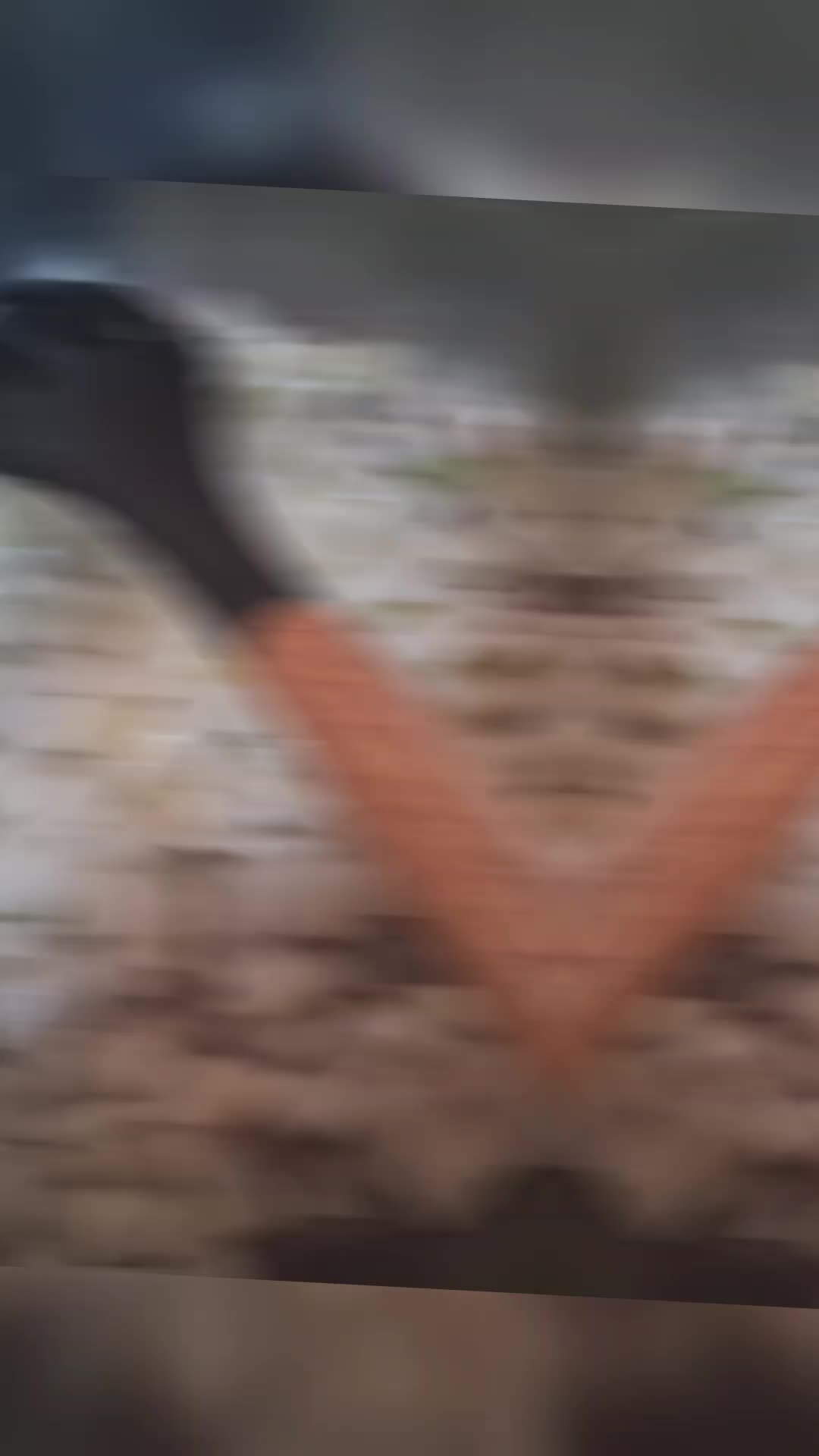 @thefreeroamer