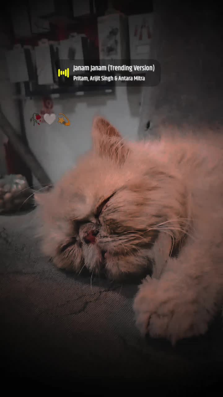 @💎ȺɃĐᵾŁŁȺĦFX💎