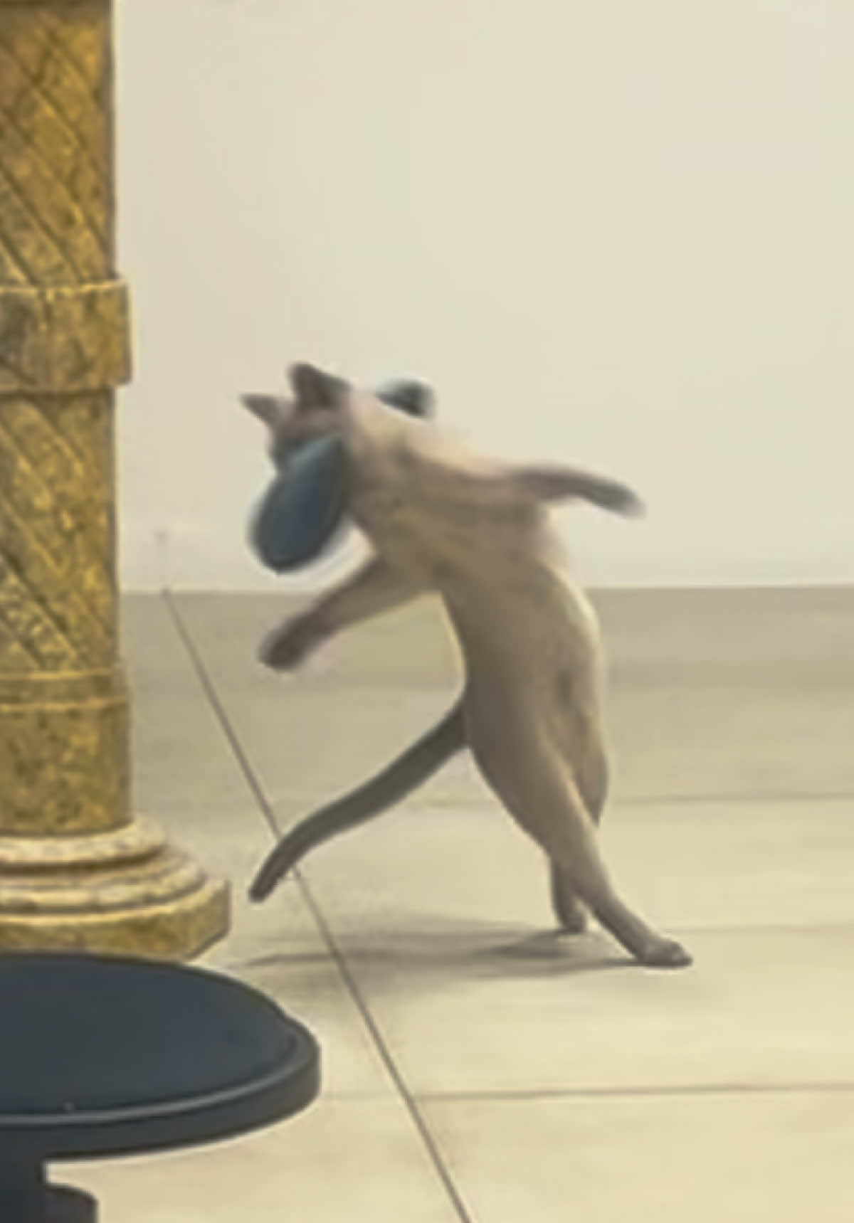 @arnostudio