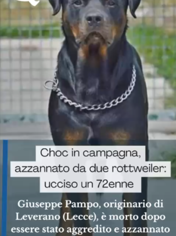 @Quotidiano di Puglia