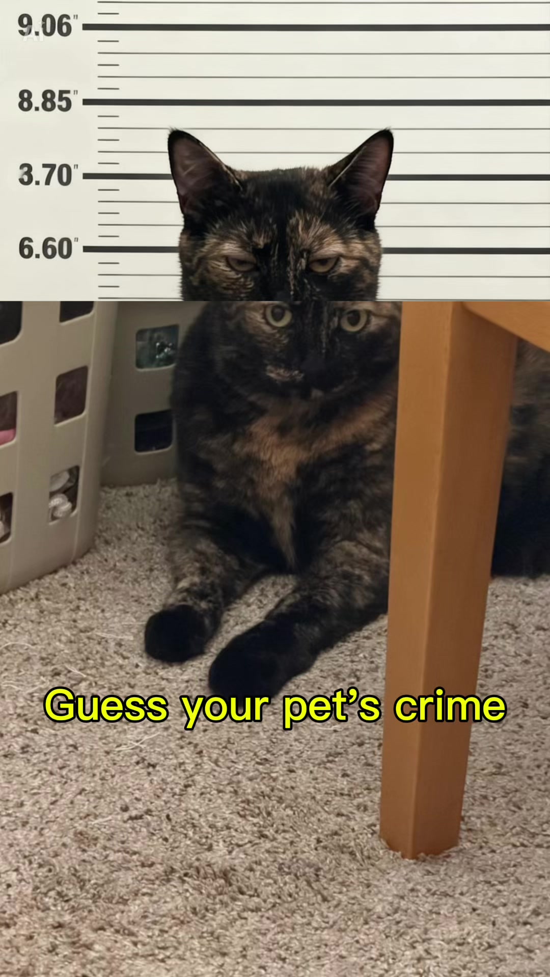 @JennaR