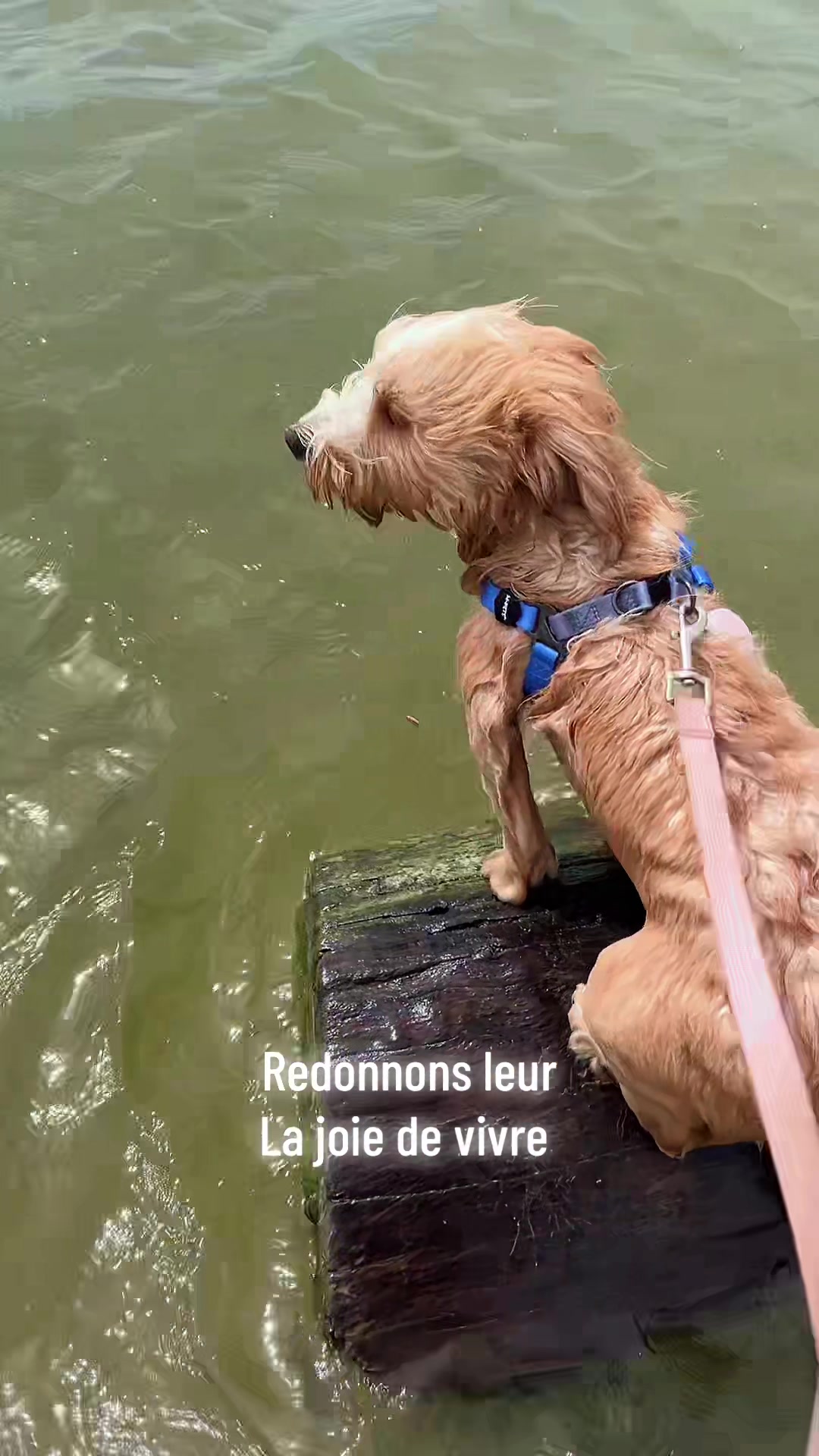 @Valérierun 🇮🇹 🇫🇷🫵