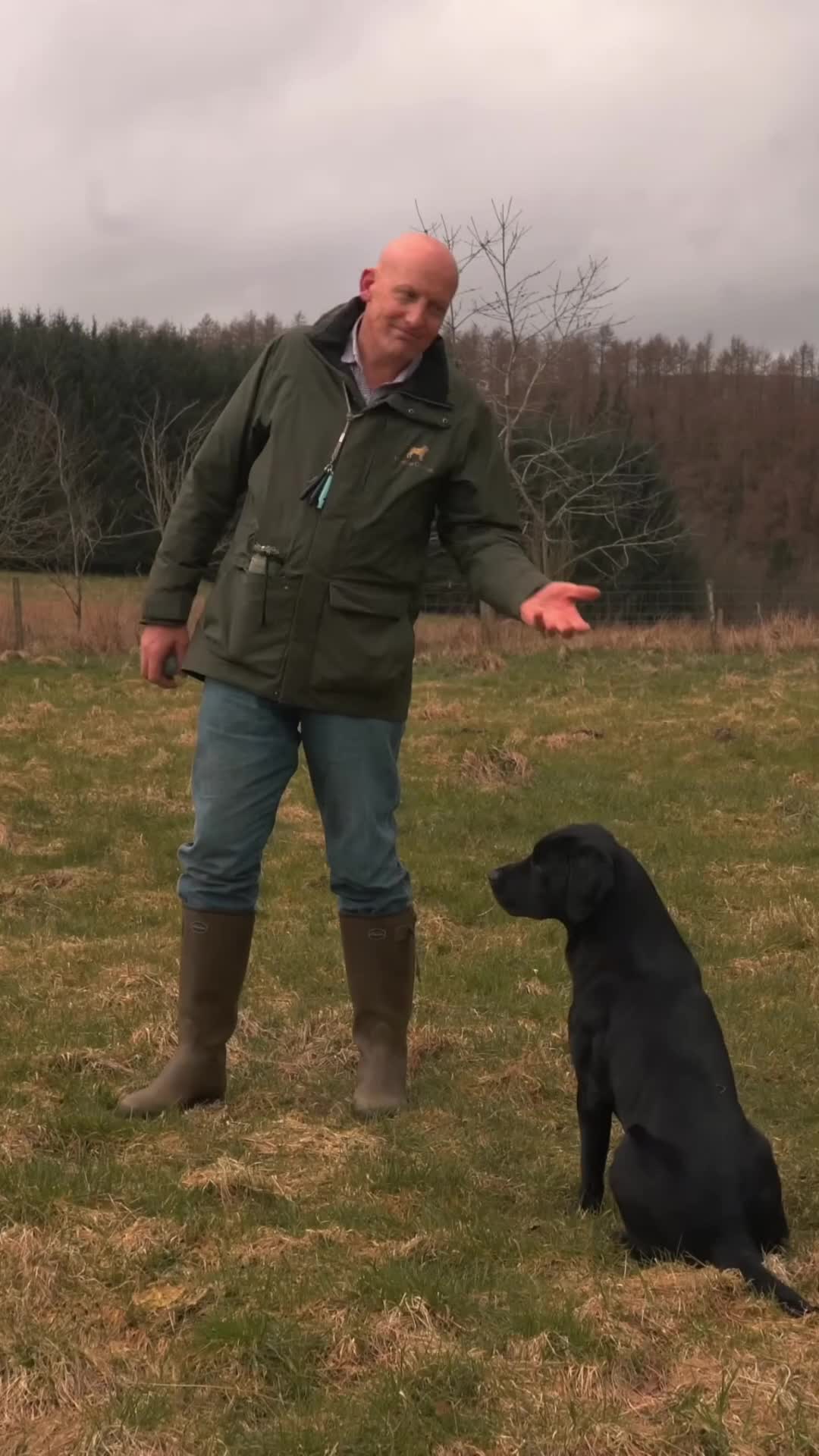 @Mordor Gundogs