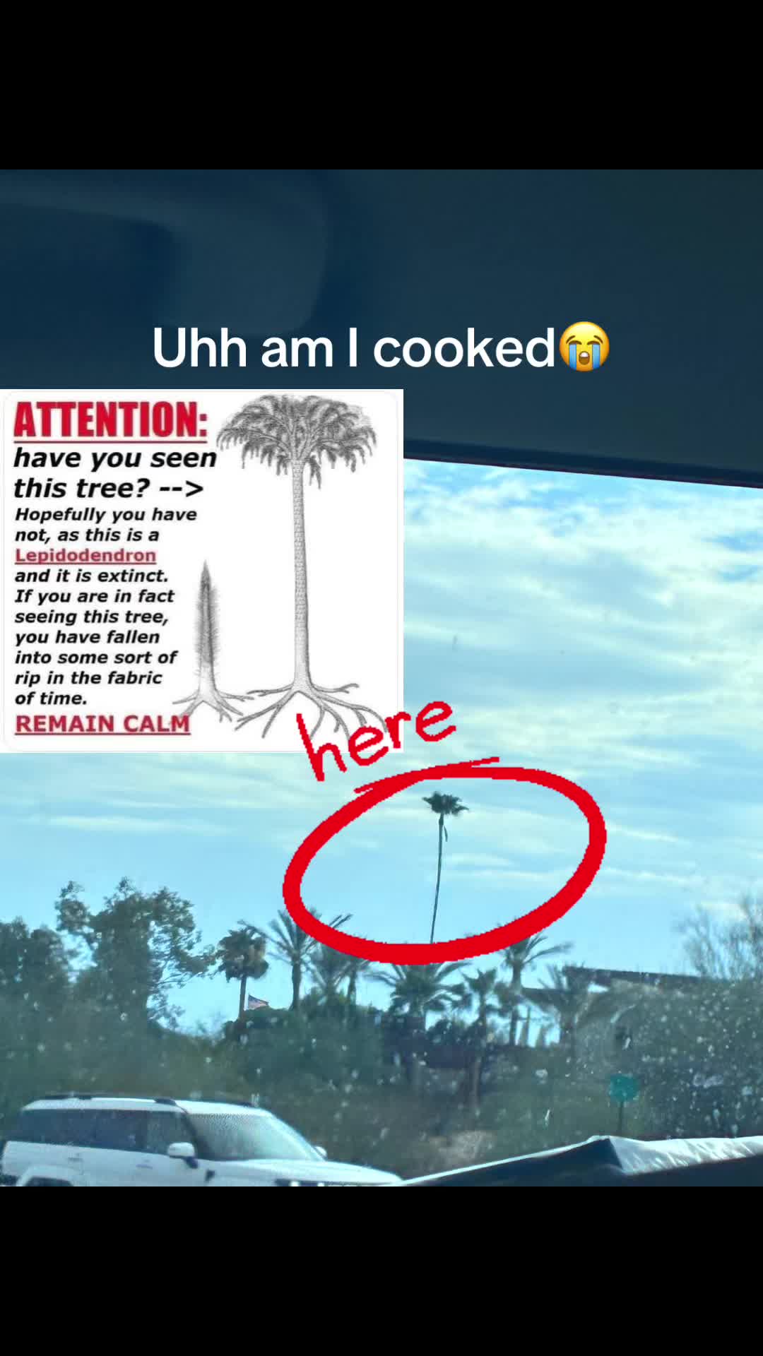 @⛈️Itz_jicsaw⛈️
