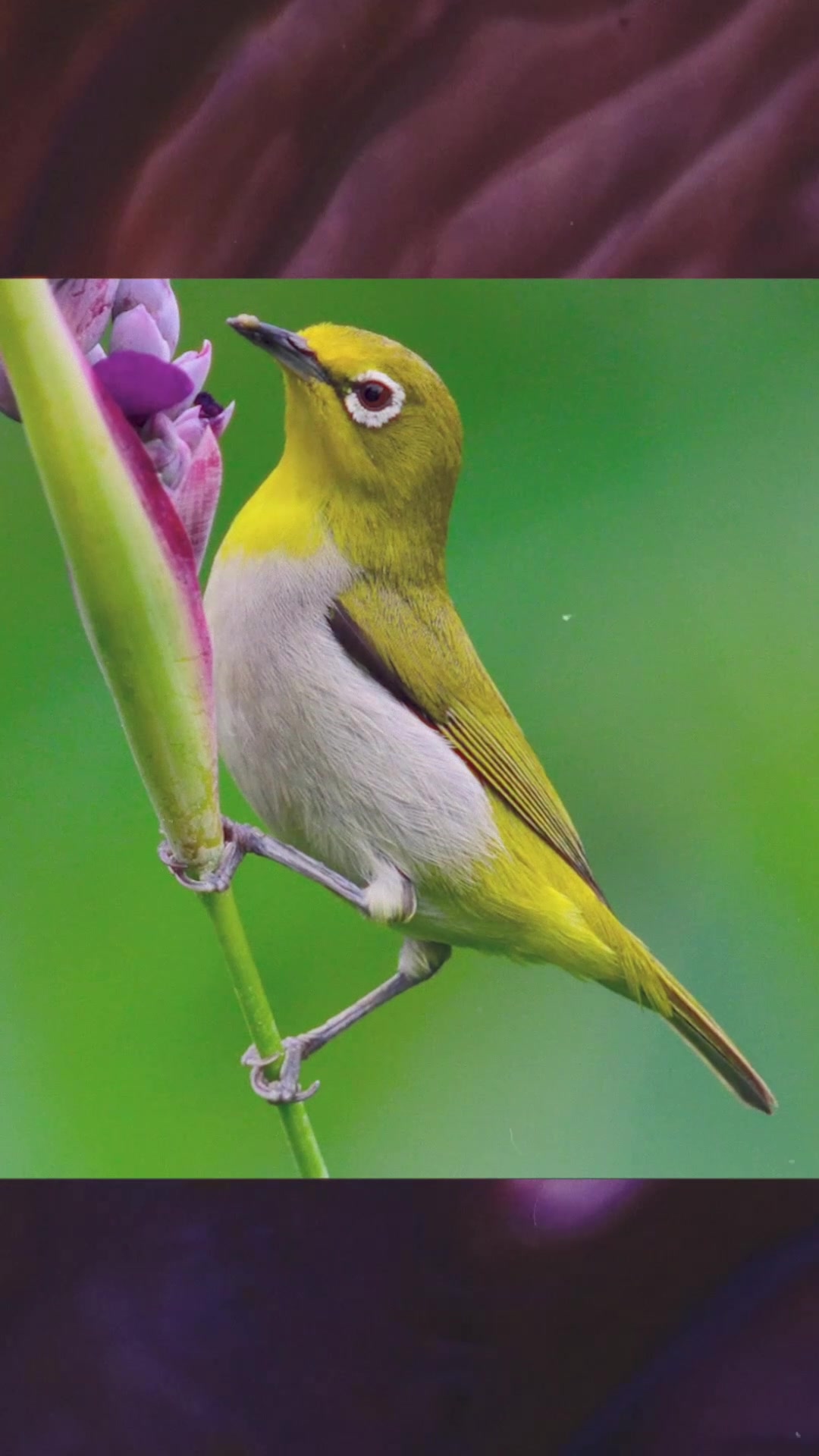 @Nature is Surreal