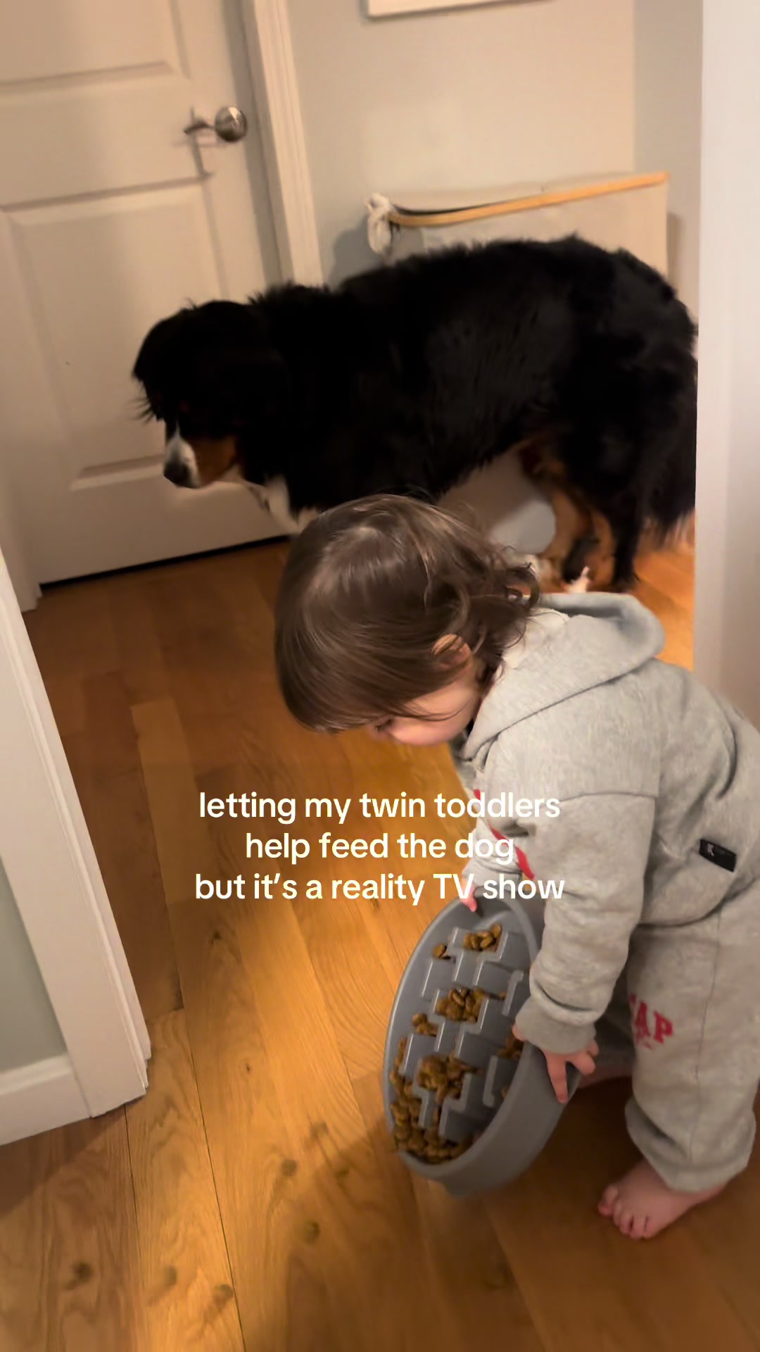 @theresacrowellrodino