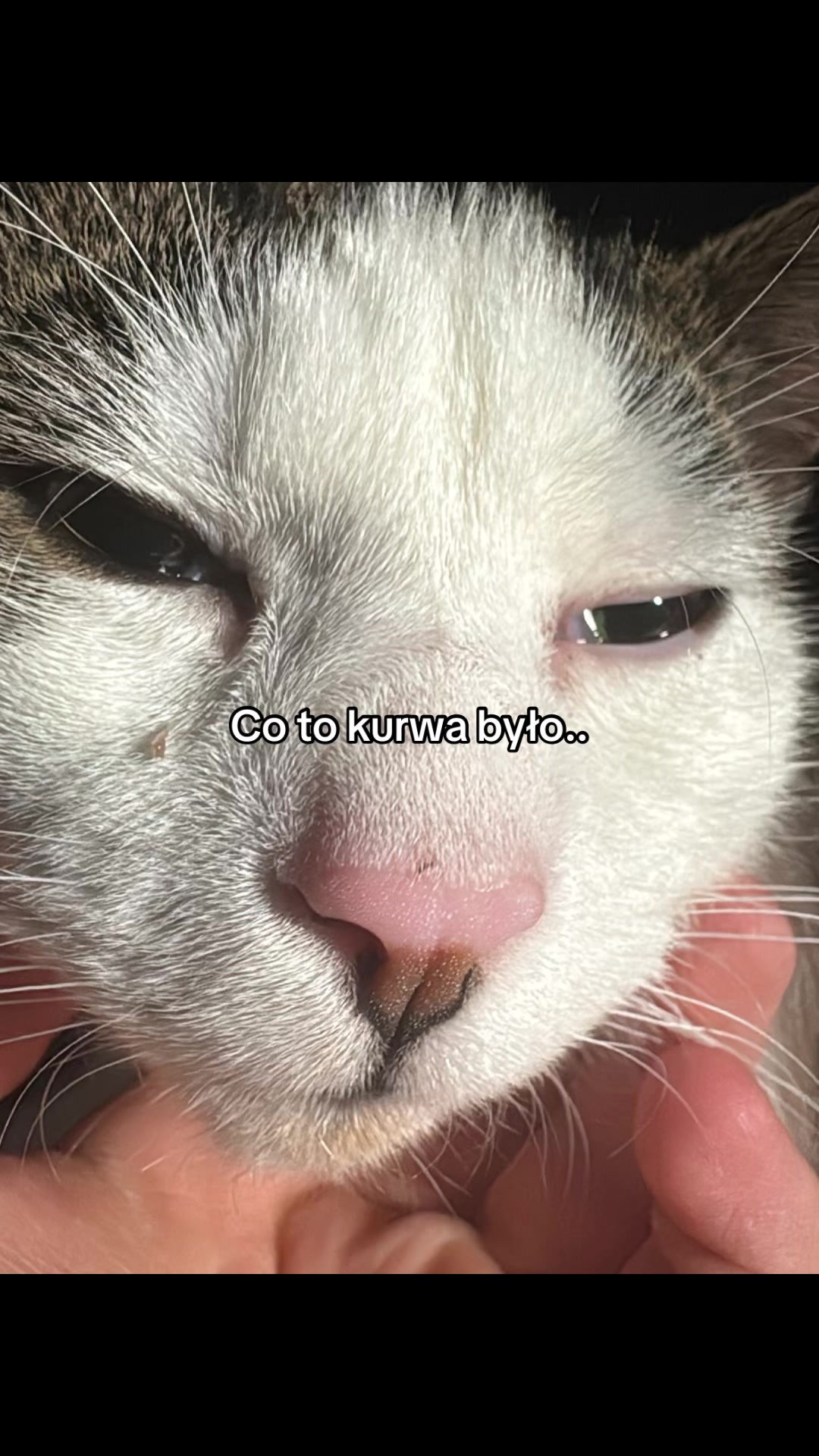 @TikTok.Maksiu
