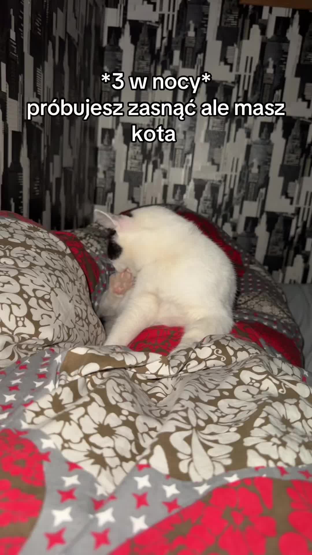 @buba