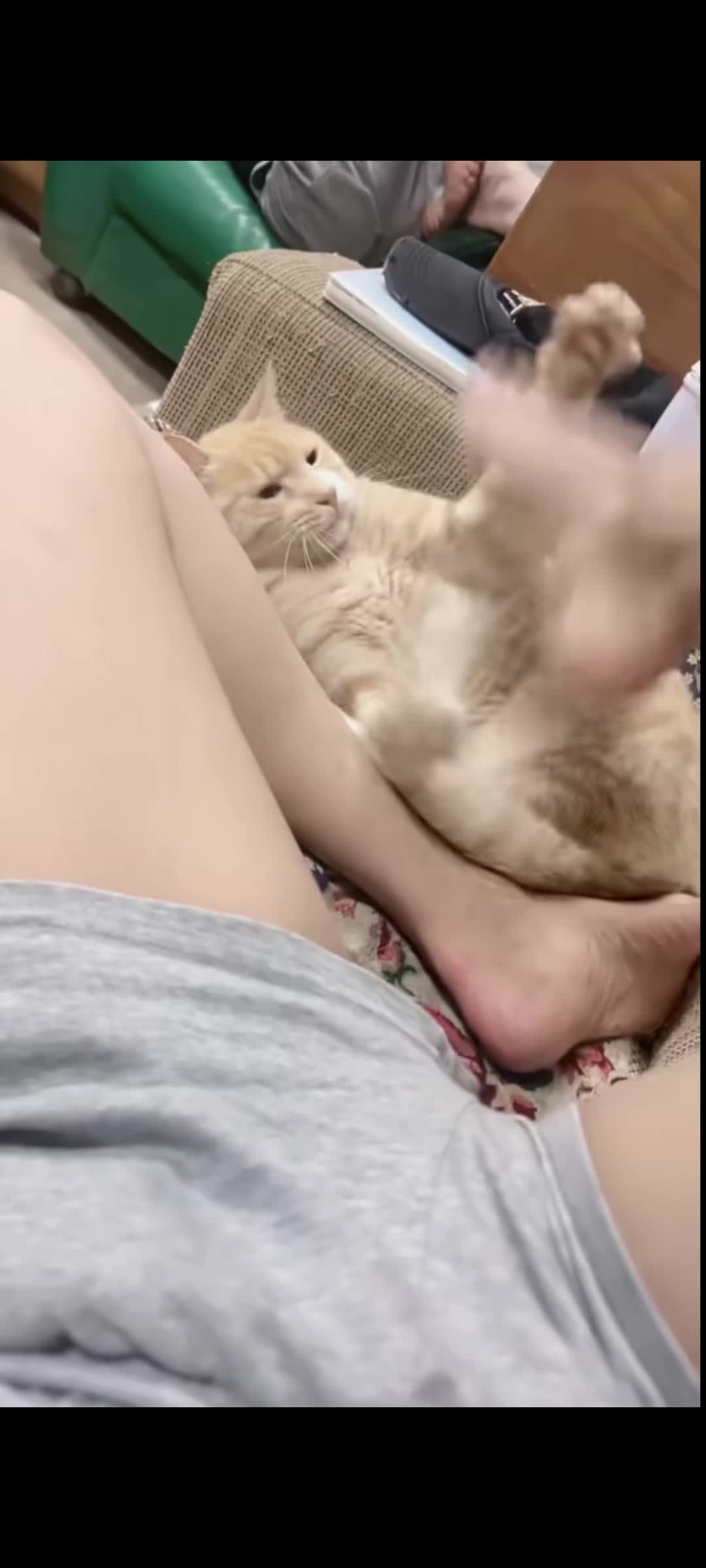 @你是否遇见对的人