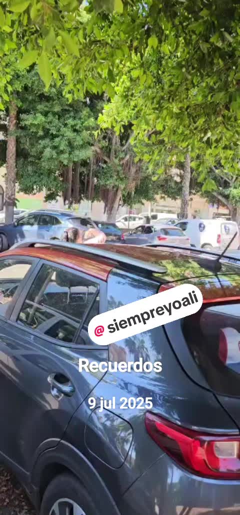 @josemontoro85_oficial