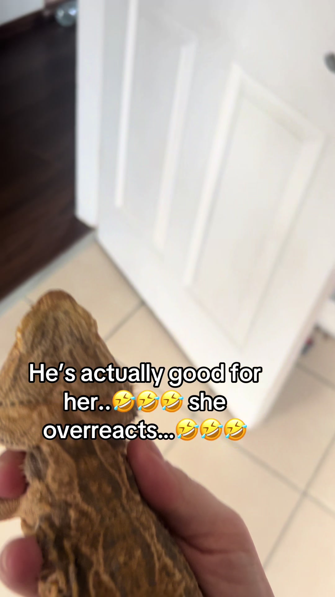 @JessicaShar89