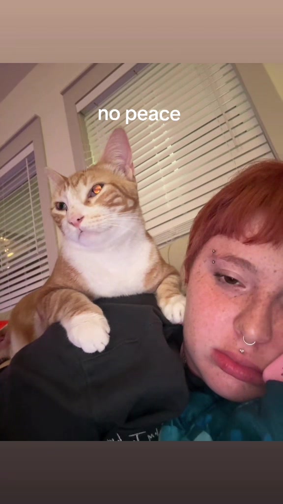 @texastoastisyum