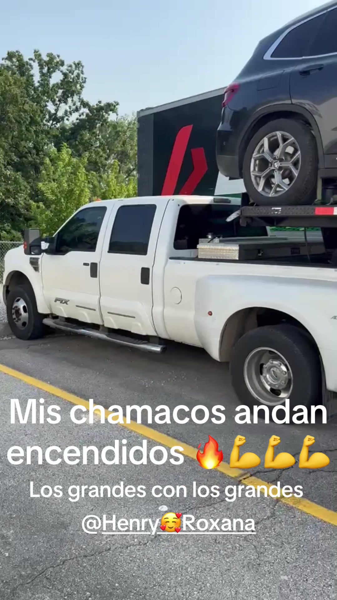 @✌️El papá de los cachorros 🐶