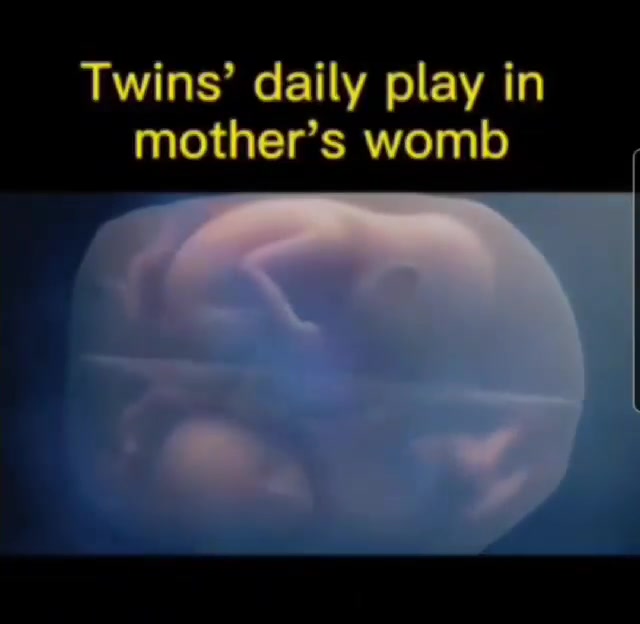 @The Nub Techs