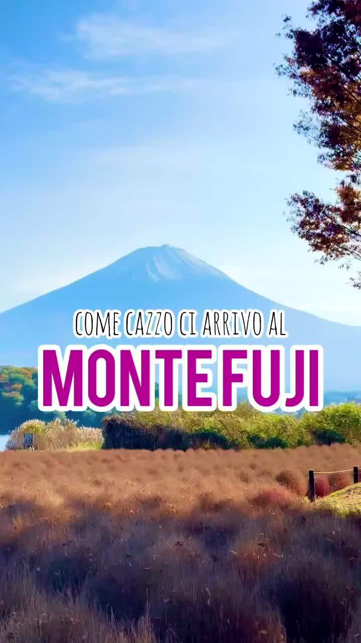 @Matteo