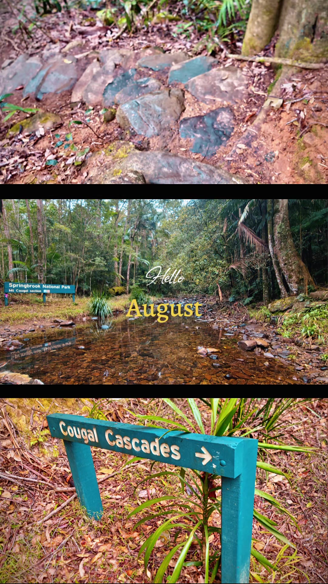 @Aces hike tok
