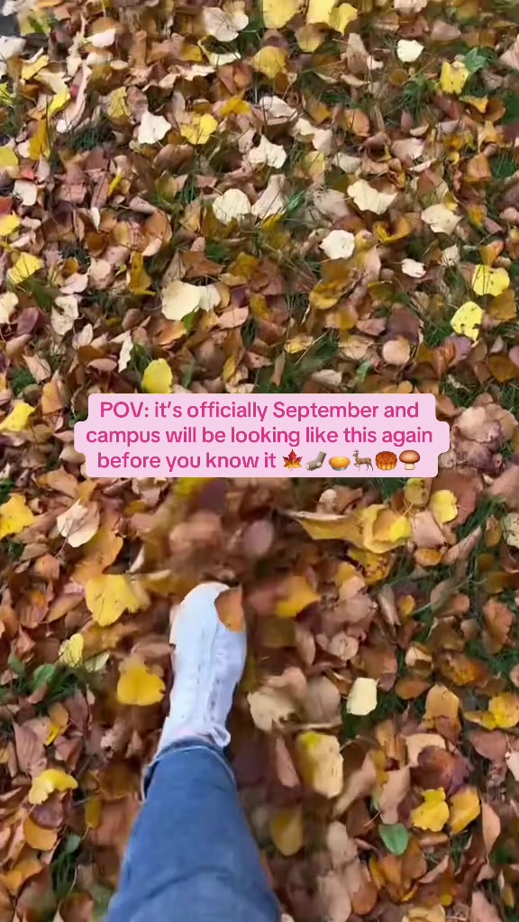 @Nottingham Trent University