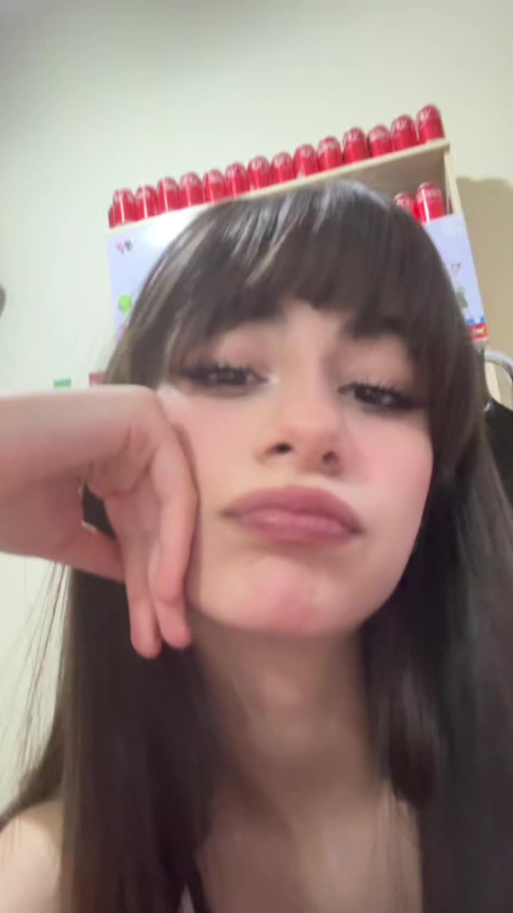 @little kitten