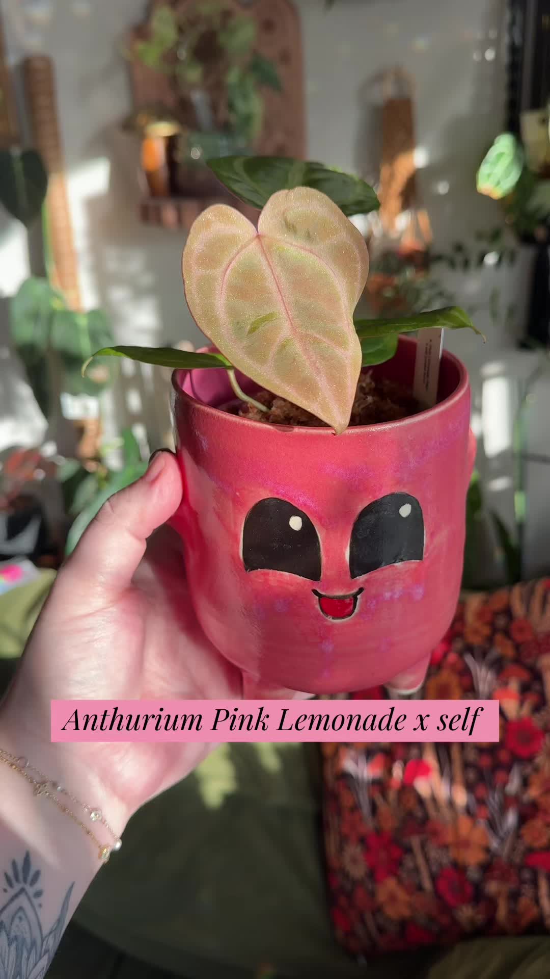 @Ness Rose | Plant Fanatic ✨