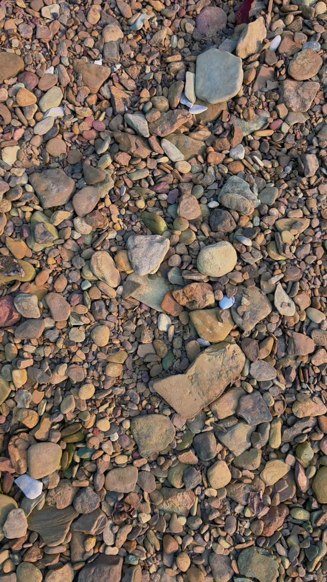 @TheManfromRush