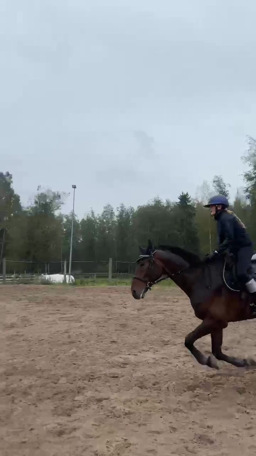 @eq.ricciardella
