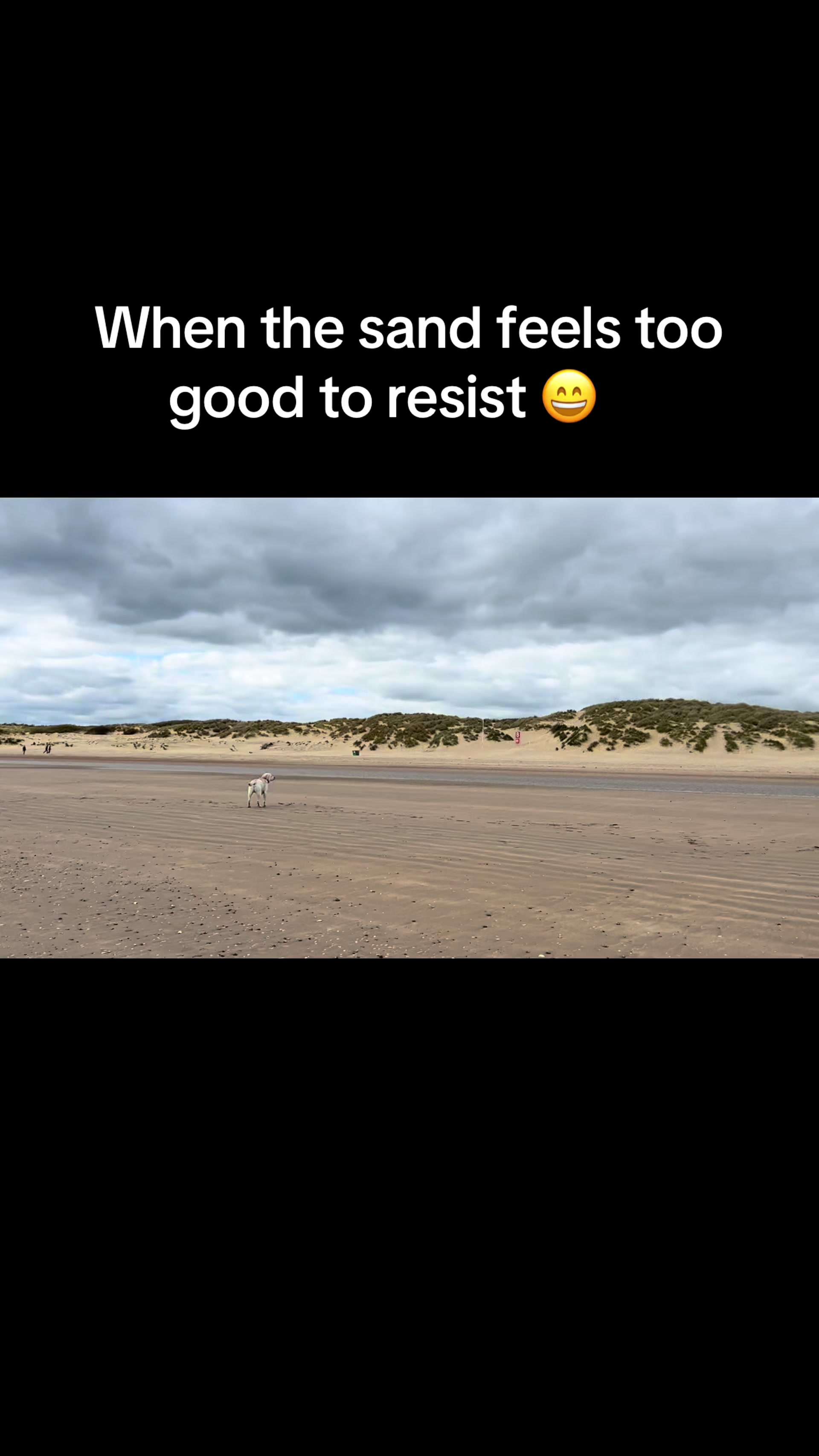 @Teddy 💕Charlie🐾💙