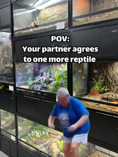 @prorep_reptile