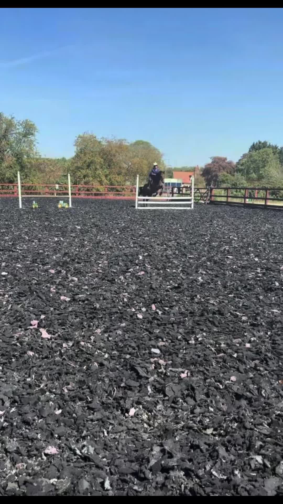 @MG.eq🇬🇧🐴