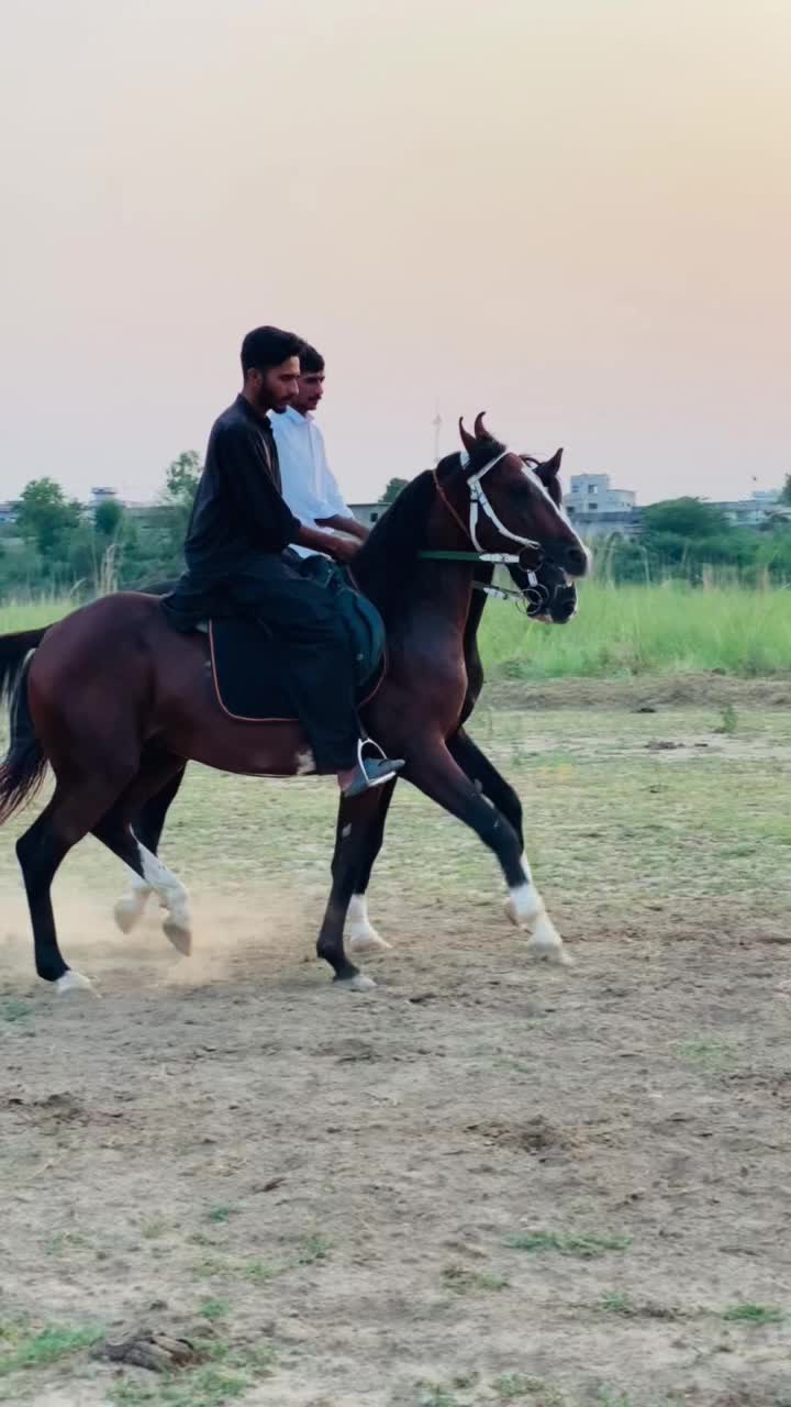 @Ch Hammad bokan ♥️🐎