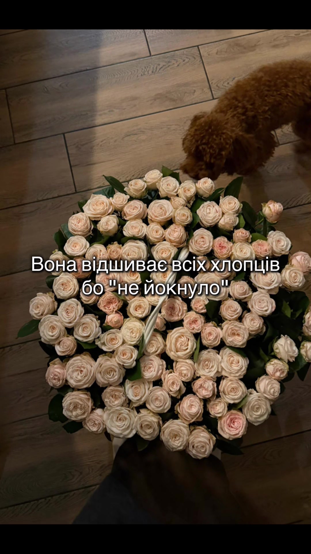 @ch.t___