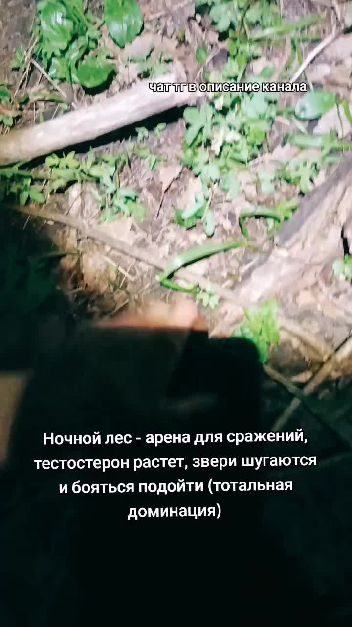 @Лучезарный хрякᛉ