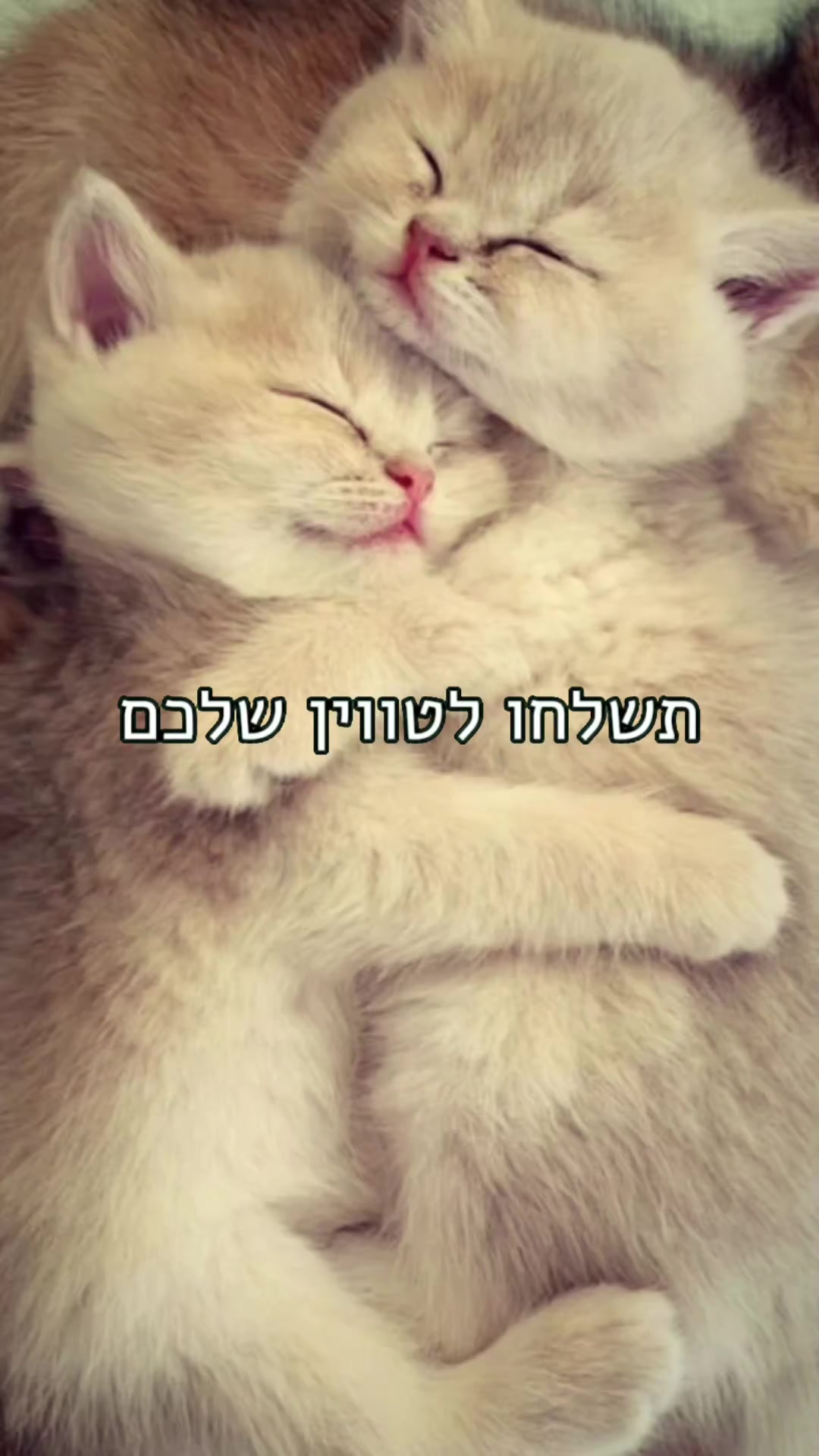 @๐ ๐ฑ๐.๐๐๐ห๐ชฝ