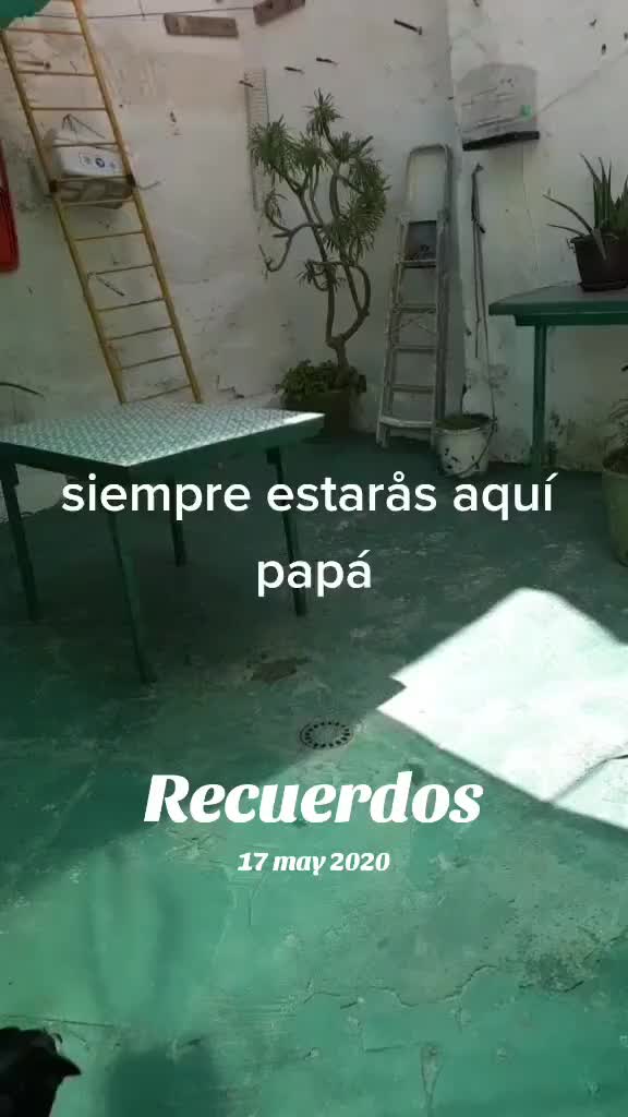 @verónica