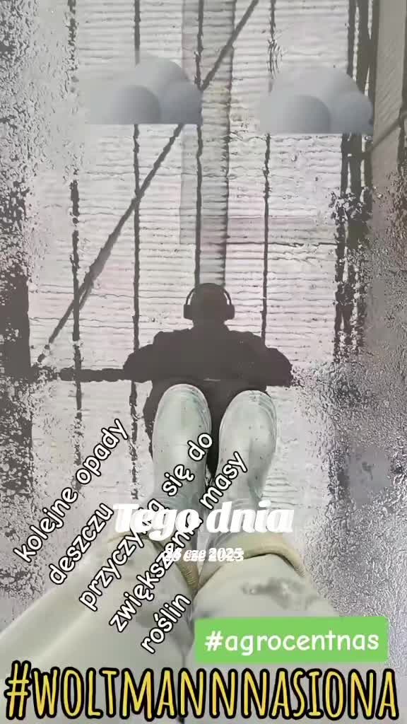 @WOLTMANNNASIONA
