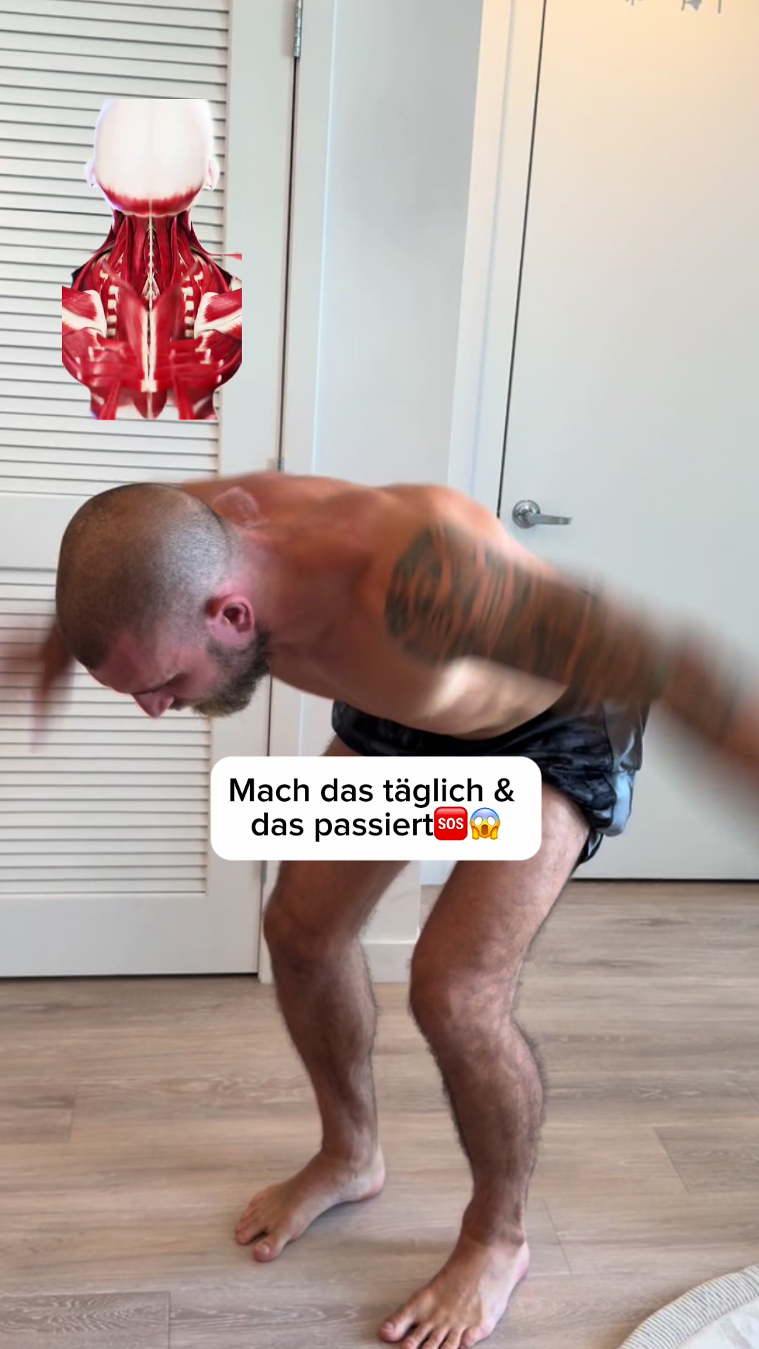 @Mr.High Level- Roll&rsquo;s weg