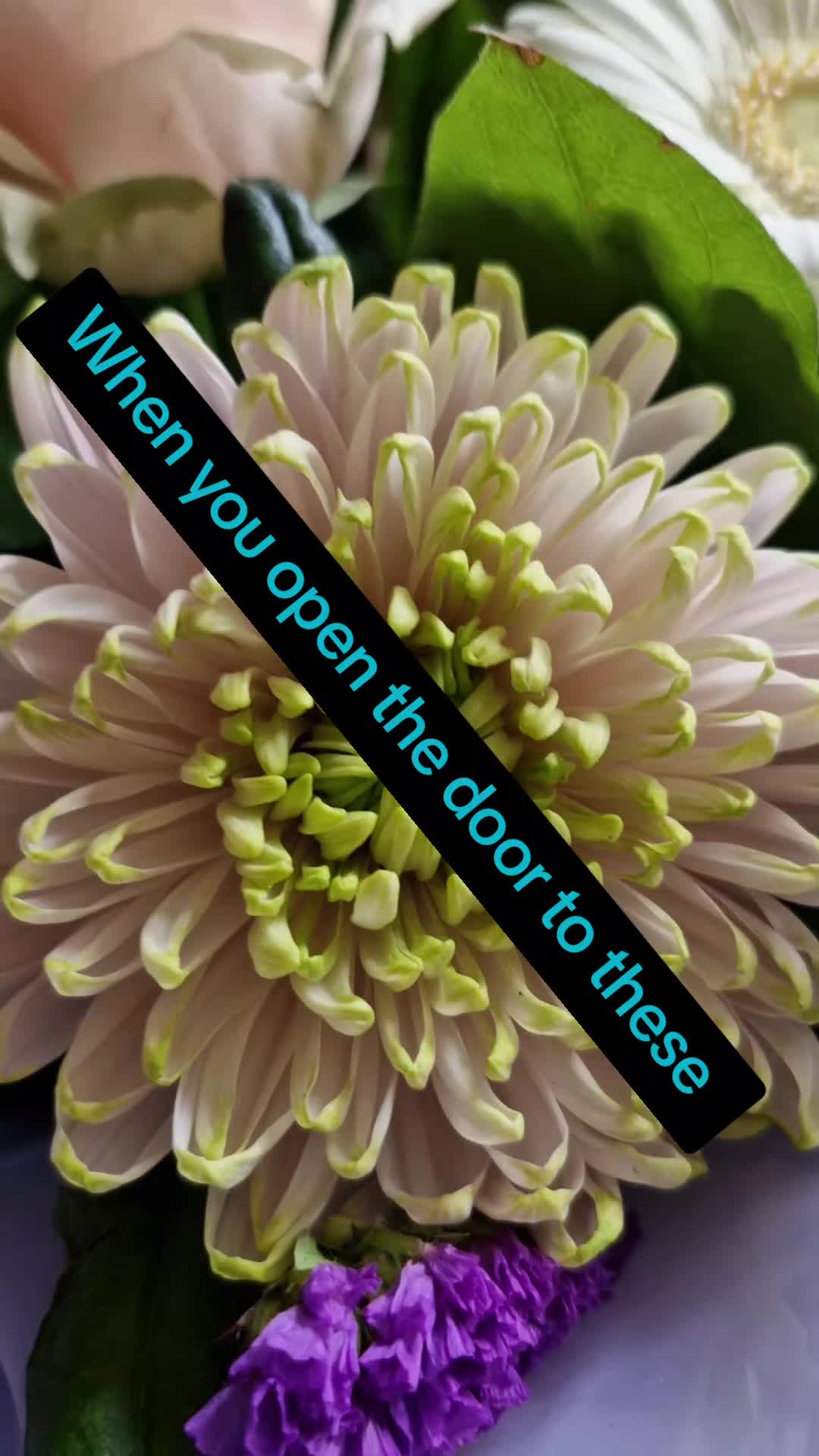 @Cookie