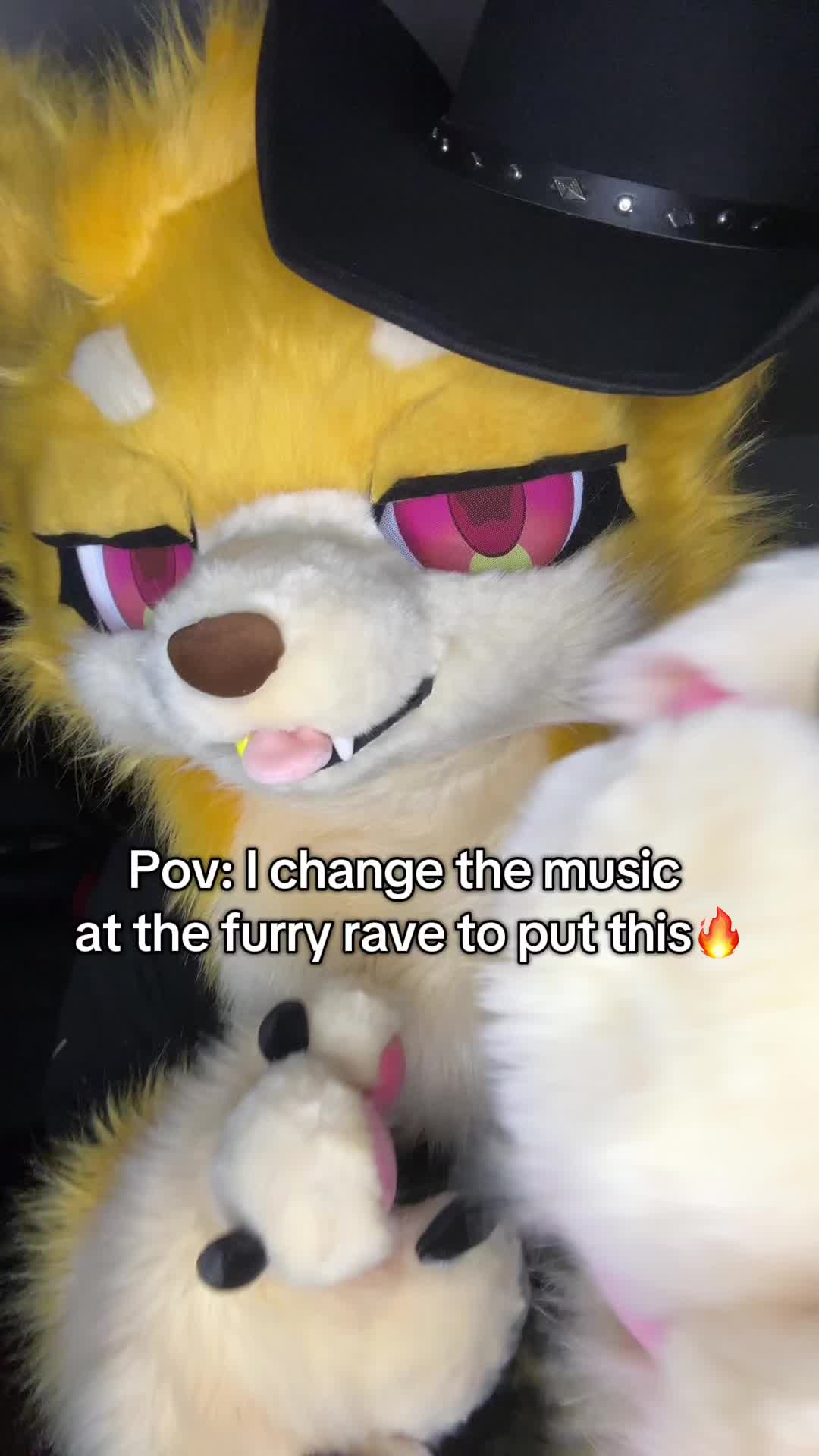 @Tenko🐾