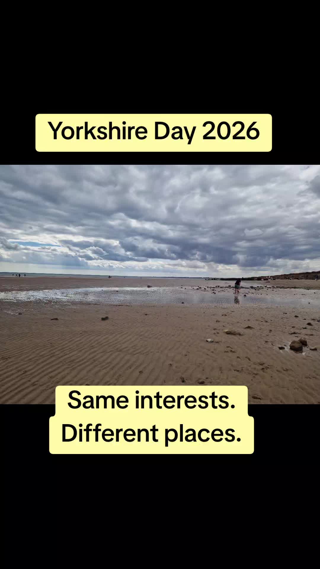 @little_miss_mermaid