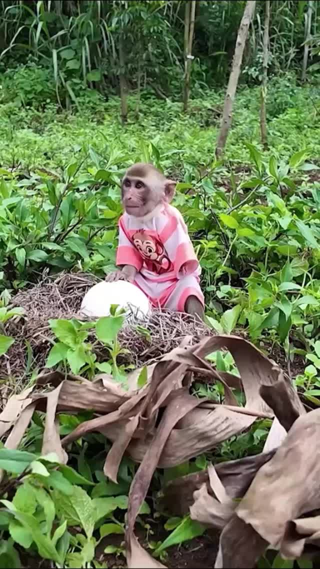 @Jaycoded7