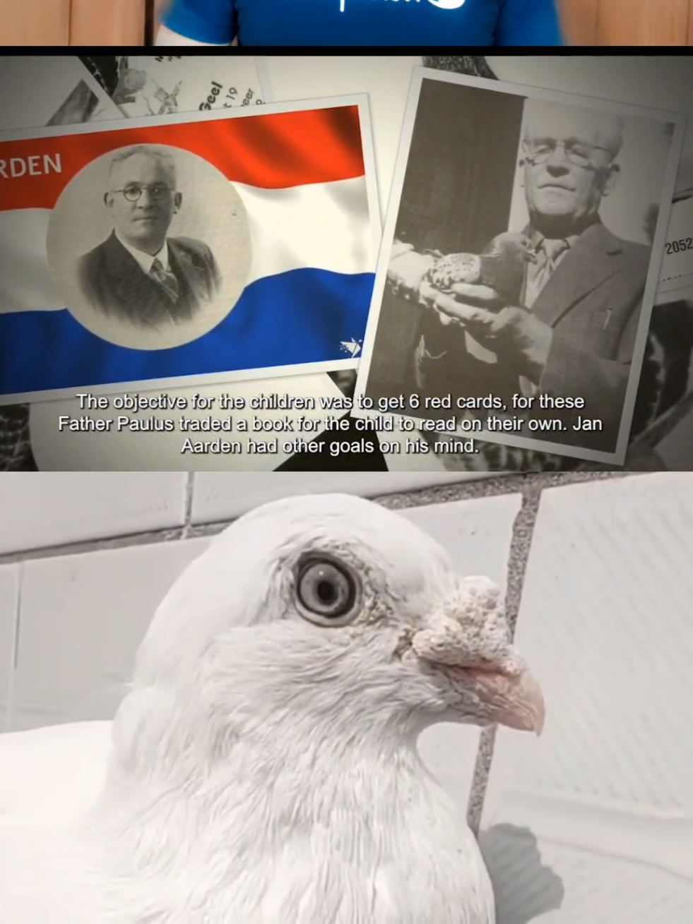 @TFRPL🕊️