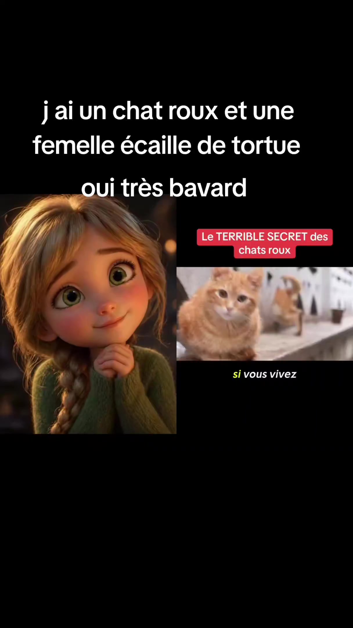 @La guerrière au bouclier 🛡🙏