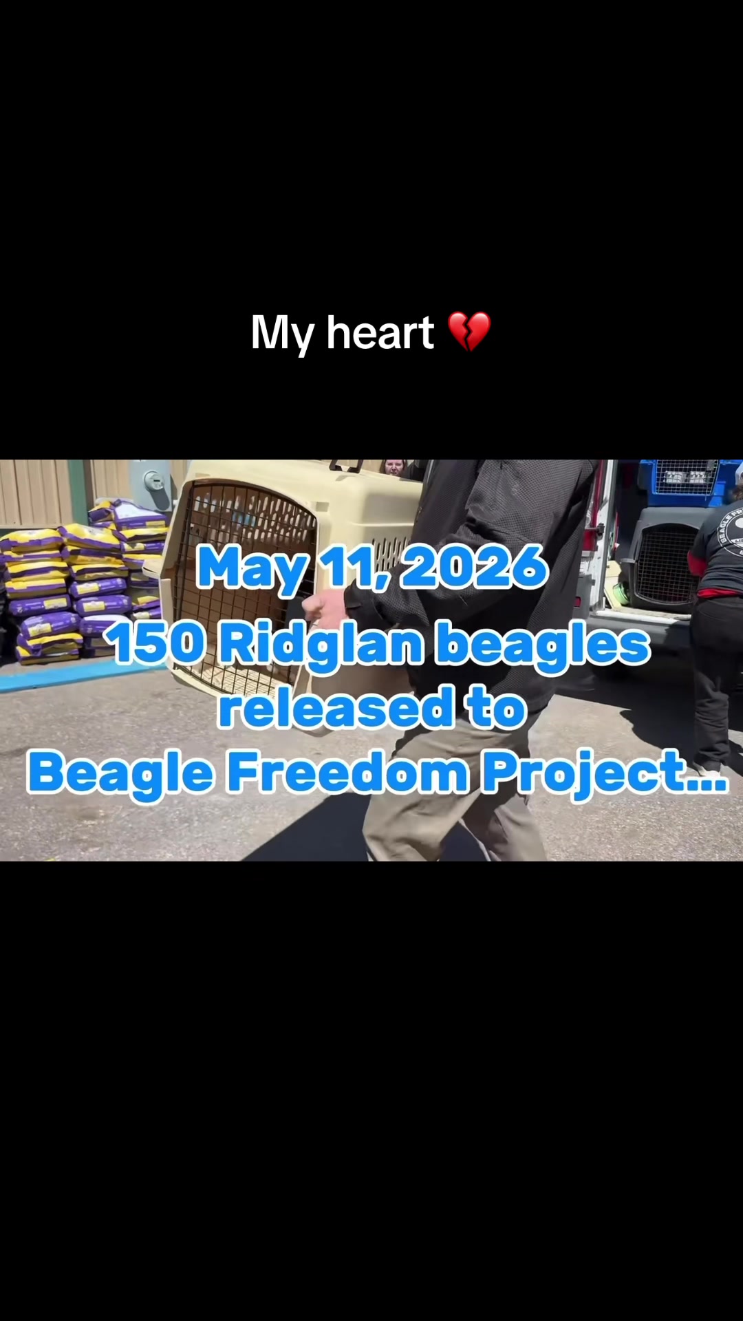 @lynnc4change