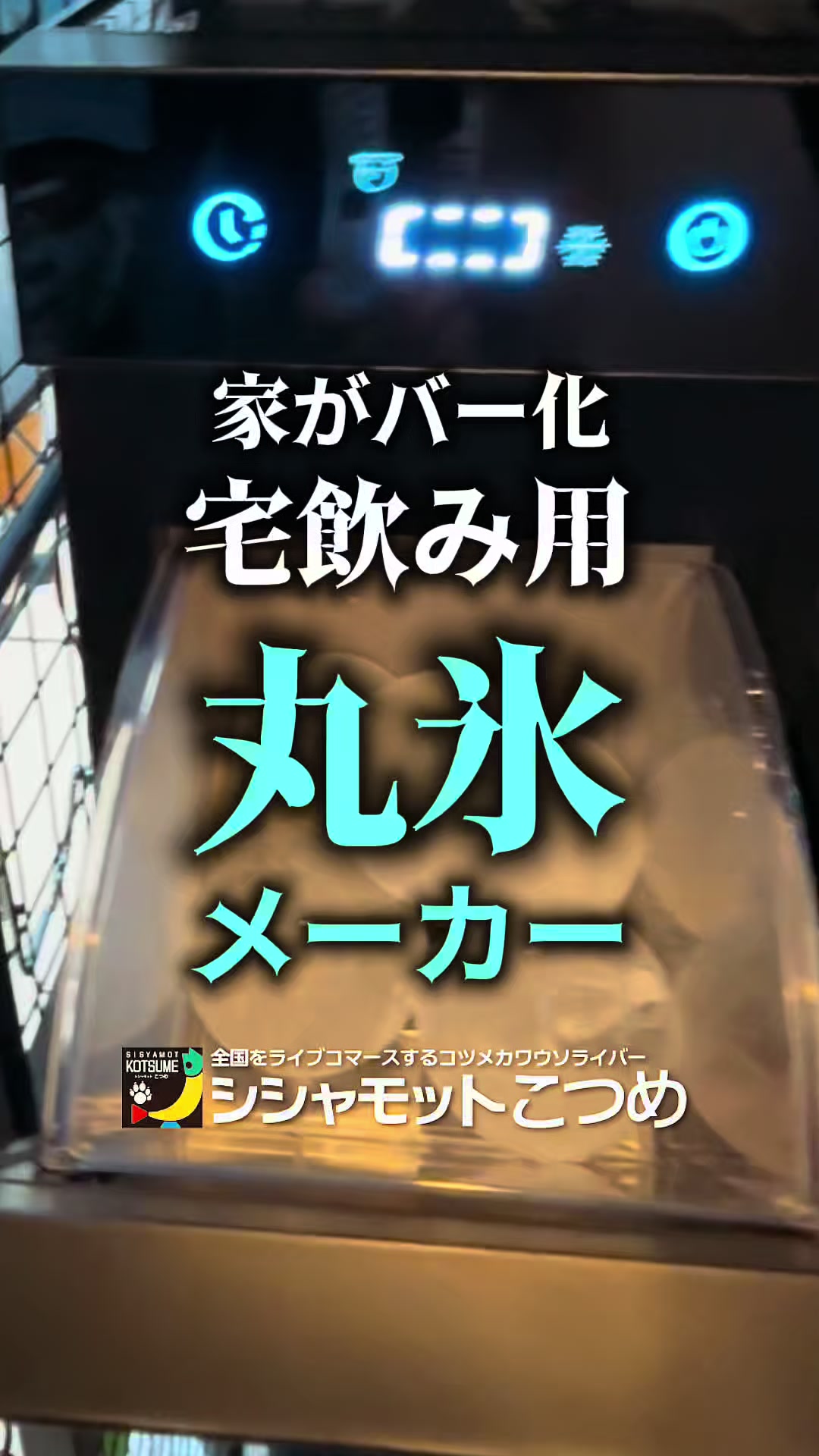 @博多のこつめ社長🎙️🦫忖度なし〜謎のシシャモットこつめ〜