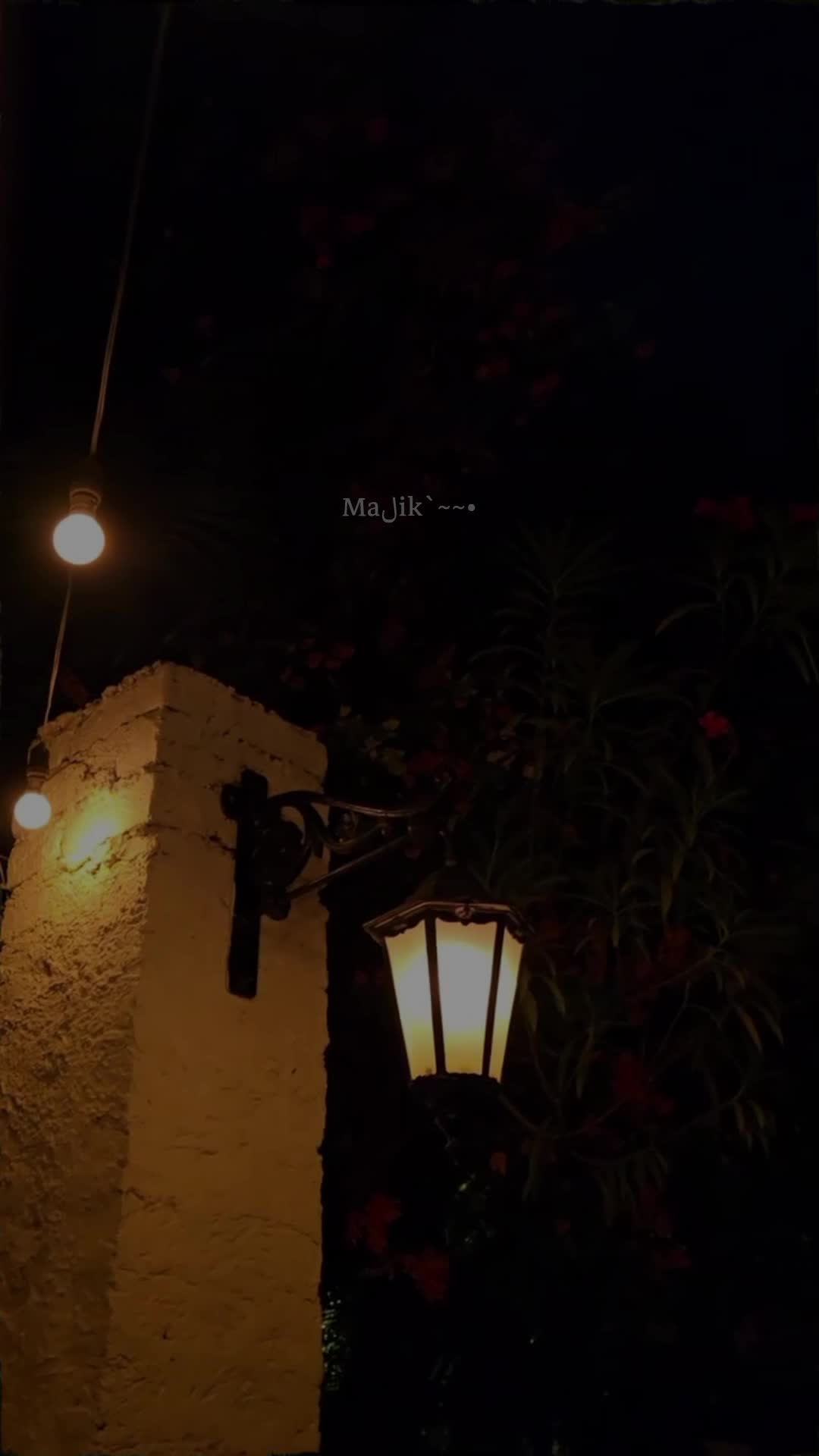 @Maلik`~~&bull;💸
