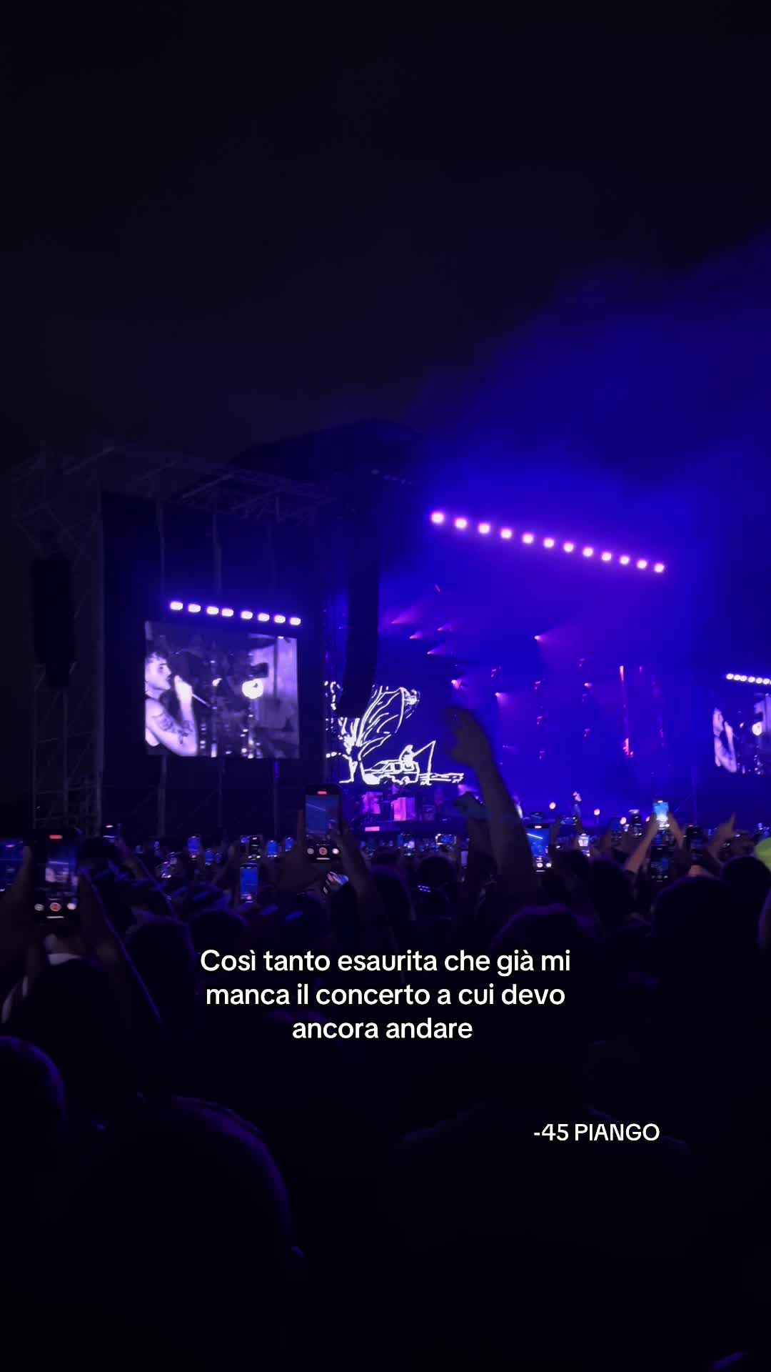 @sofiabiraghii