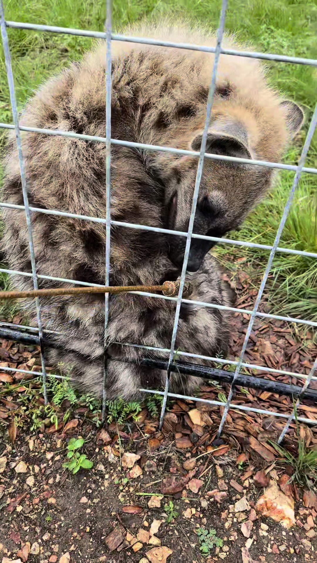 @Texas Wildlife Park