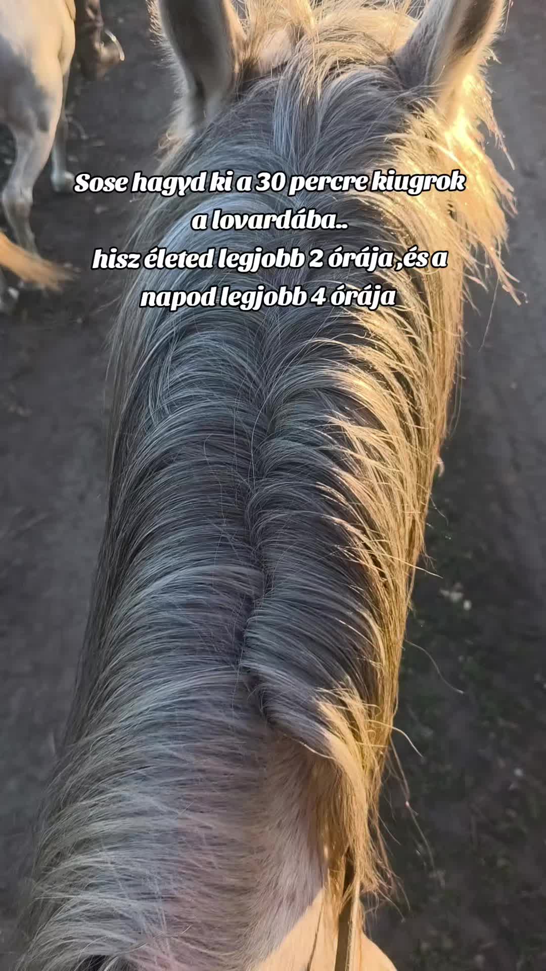 @✨𝓢𝔃𝓪𝓫ó 𝓥𝓲𝓴𝓽ó𝓻𝓲𝓪✨