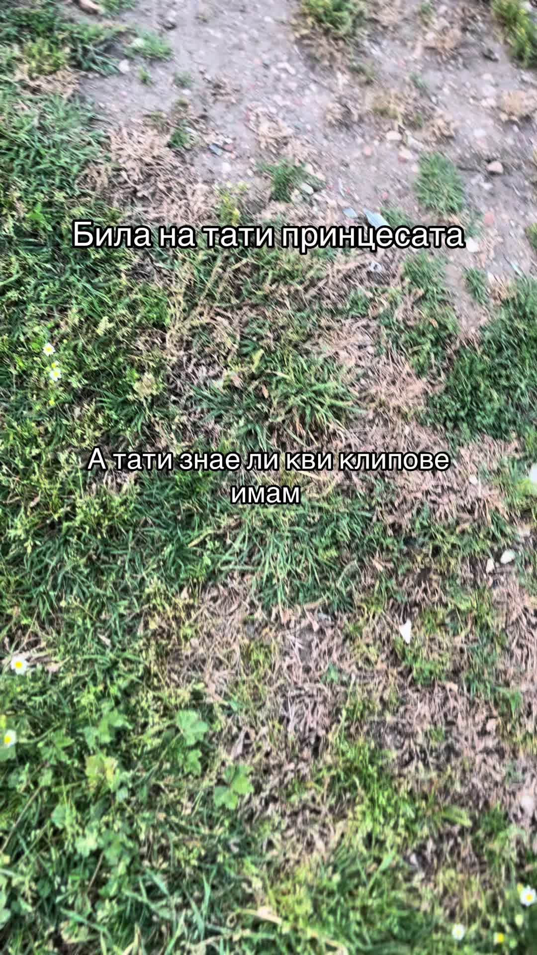 @dimitrow2007