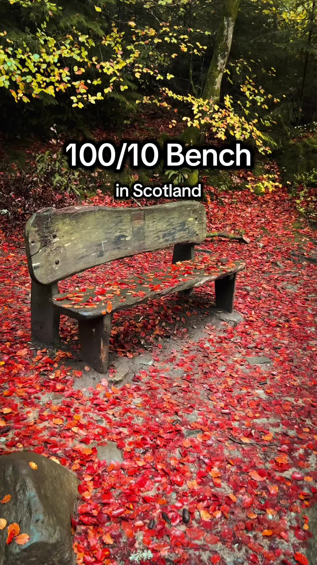 @John Murray - Scotland