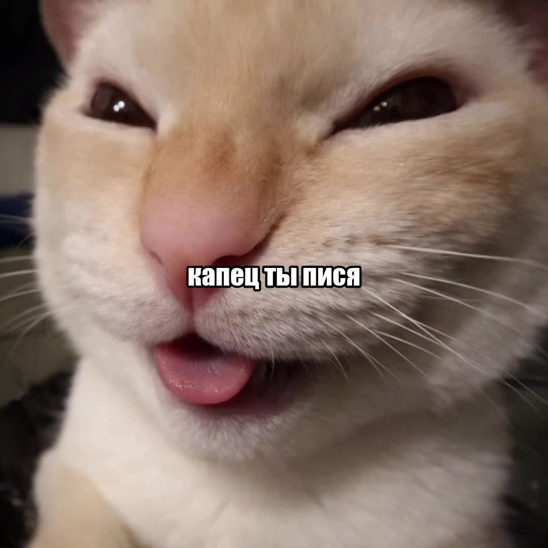 @dwee